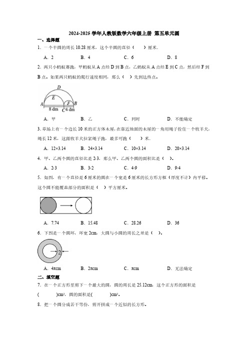 2024-2025学年人教版数学六年级上册 第五单元圆单元测试(含答案)