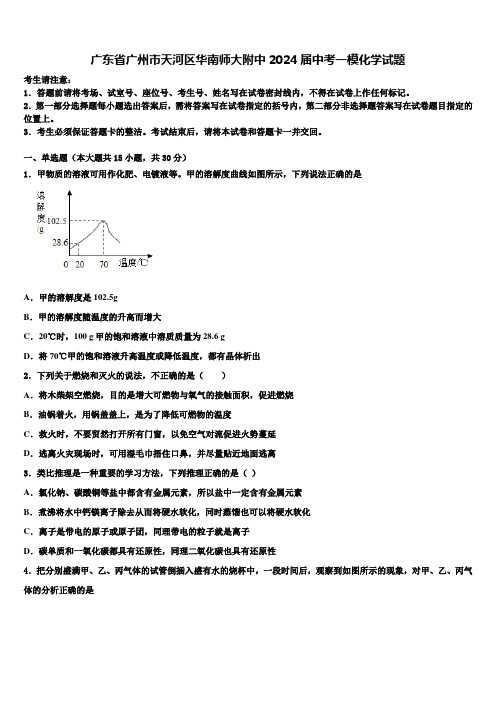 广东省广州市天河区华南师大附中2024届中考一模化学试题含解析