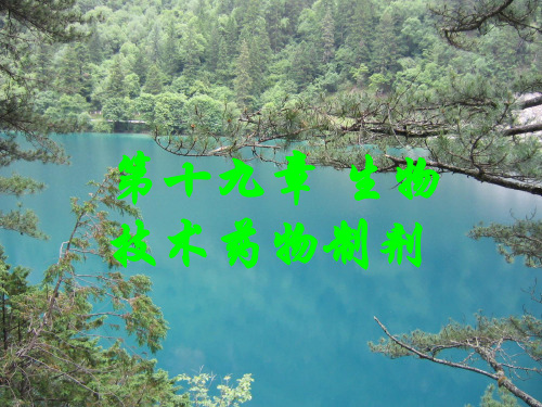 19生物技术药物制剂.pptx