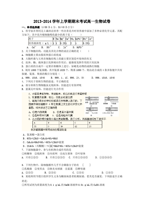 2013-2014学年上学期期末考试高一生物试卷(含部分答案)