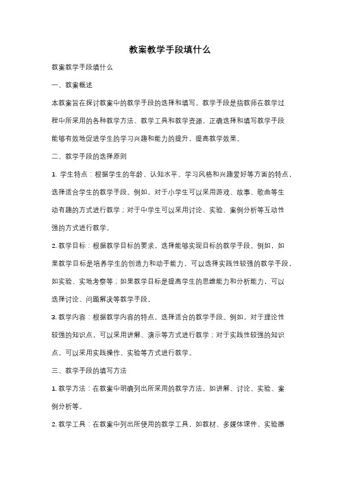 教案教学手段填什么