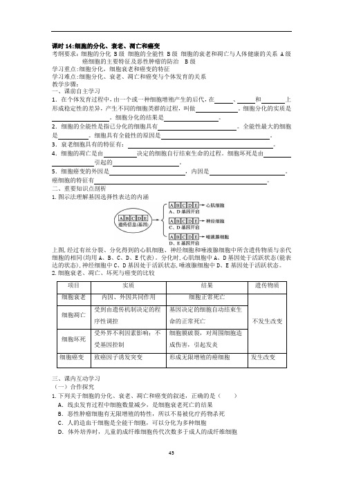 高三一轮复习生物教学案课时14：细胞的分化、衰老、凋亡和癌变