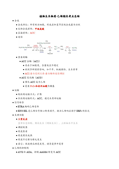 植物生长物质-乙烯期末考点总结