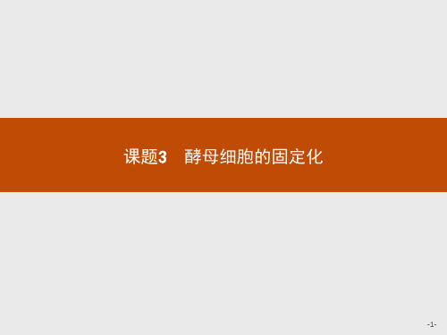 2018版高中生物人教版选修1课件：4.3 酵母细胞的固定化