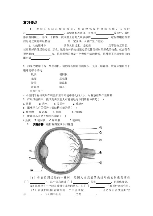 人体对信息的感知复习要点1(苏科版)