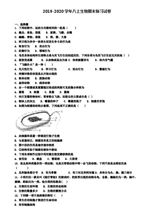 2020年绍兴市生物八年级(上)期末质量检测模拟试题