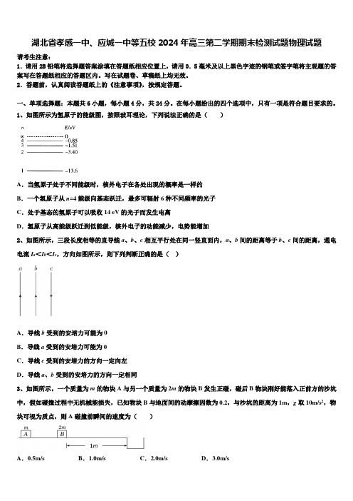 湖北省孝感一中、应城一中等五校2024年高三第二学期期末检测试题物理试题