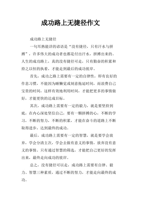 成功路上无捷径作文