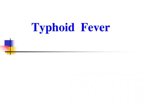 伤寒Typoid Fever PPT课件