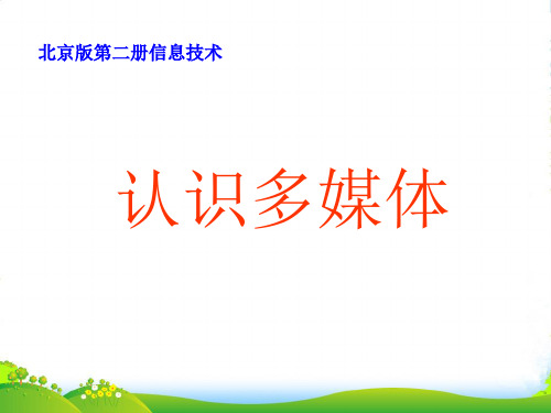 小学信息技术第二册 认识多媒体课件 北京版