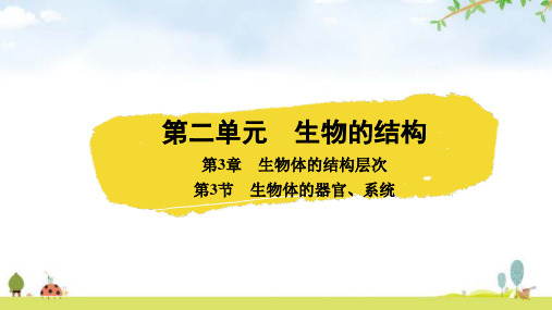 北师大版七年级生物上册第二单元生物体的结构第3章生物体的结构层次第3节生物体的器官、系统课件