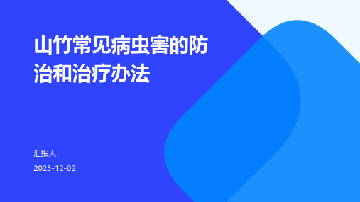 山竹常见病虫害的防治和治疗办法