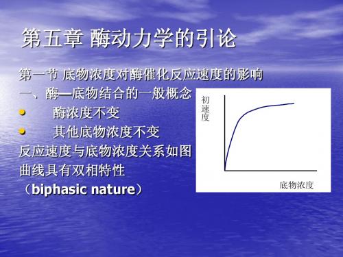 江南大学《食品酶学》课件5-8