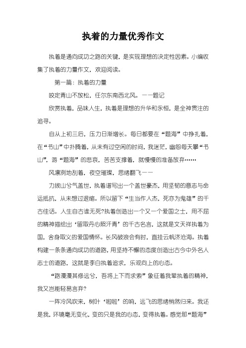 执着的力量优秀作文