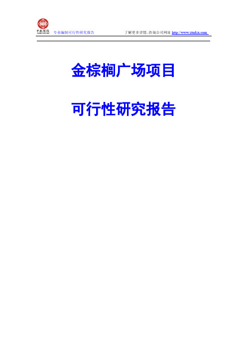 金棕榈广场项目可行性研究报告