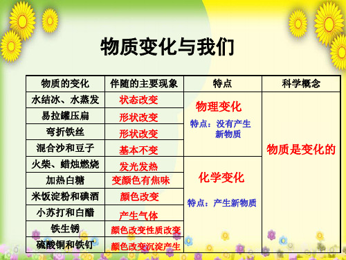 (教科版)小学科学六下《物质变化与我们》PPT课件(同课异构)(1)