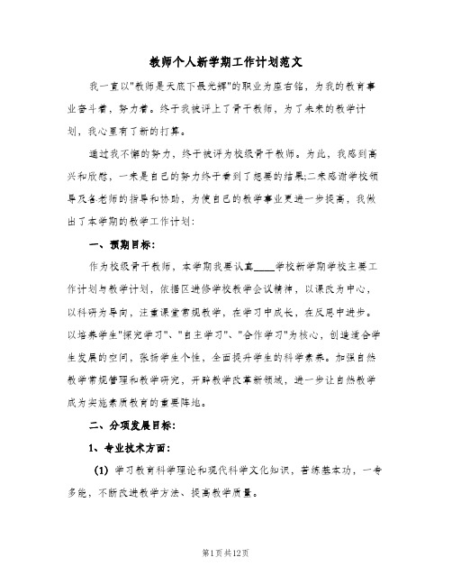 教师个人新学期工作计划范文(5篇)