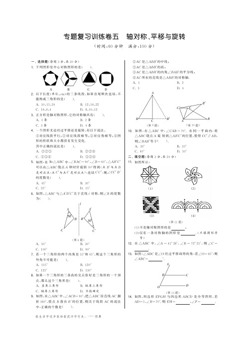 【提优特训】华师大版七年级数学下册专题复习训练卷(5)轴对称、平移与旋转(pdf版含详解)