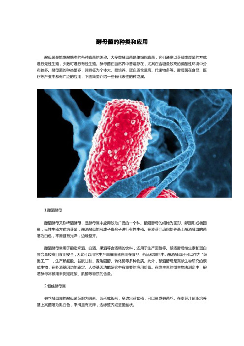 酵母菌的种类和应用