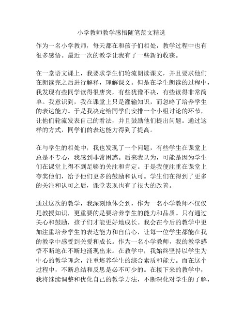 小学教师教学感悟随笔范文精选