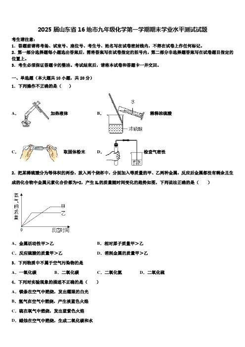 2025届山东省16地市九年级化学第一学期期末学业水平测试试题含解析