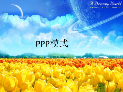 PPP模式PPT课件