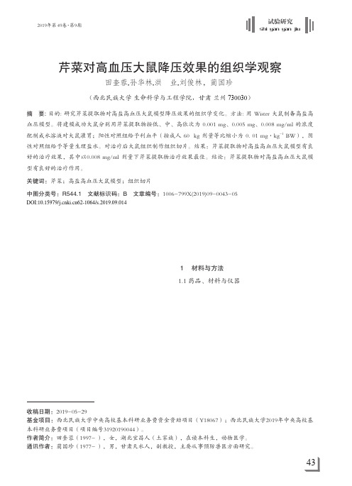芹菜对高血压大鼠降压效果的组织学观察