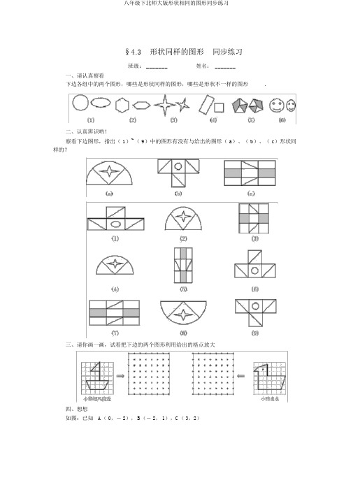 八年级下北师大版形状相同的图形同步练习