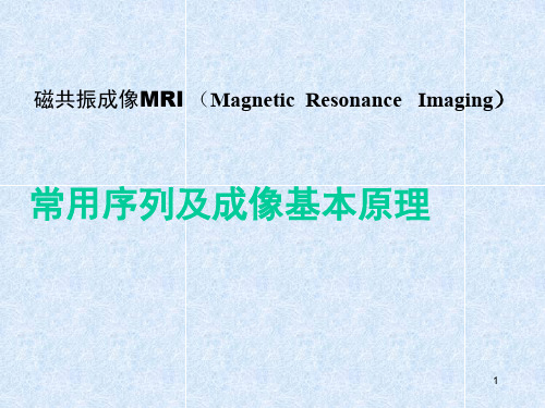 MR常用序列成像基本原理ppt课件