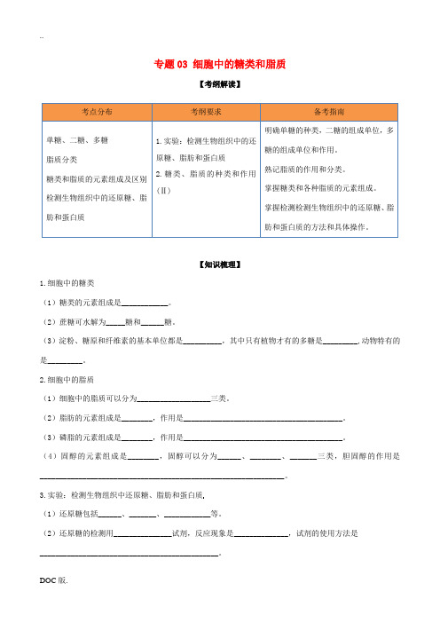 高考生物一轮复习 专题03 细胞中的糖类和脂质(含解析)-人教版高三全册生物试题