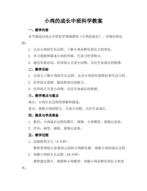 小鸡的成长中班科学教案