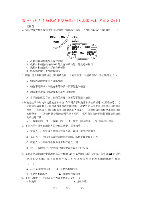 高一生物 3.2细胞的类型和结构16每课一练 苏教版必修1