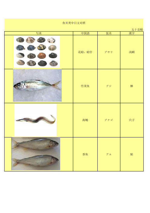 鱼类中日文对照