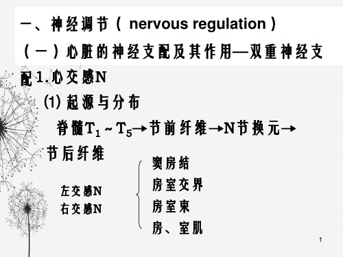 生理学第四节心血管活动的调节