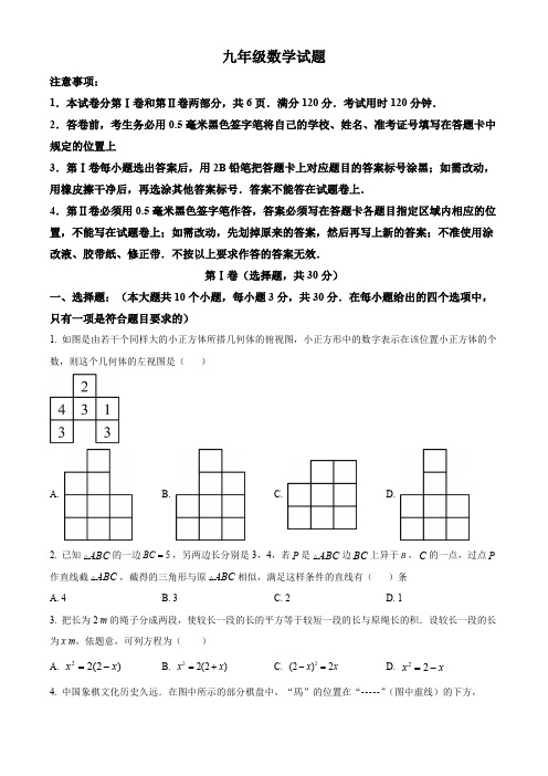 山东省菏泽市2023-2024学年九年级上学期期末数学试题(原卷版)