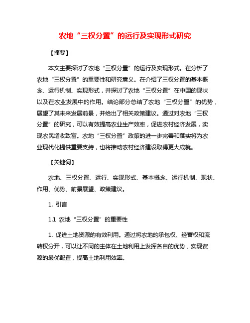 农地“三权分置”的运行及实现形式研究