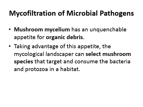 《真菌学》课件mushroom4Mycofiltration of Microbial Pathogens