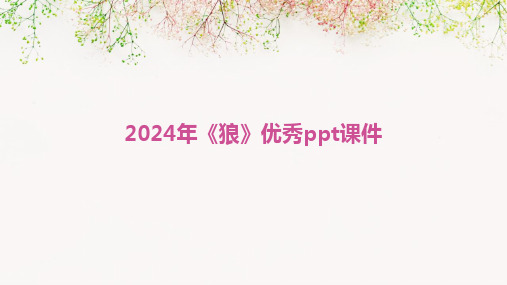 2024版年《狼》优秀ppt课件