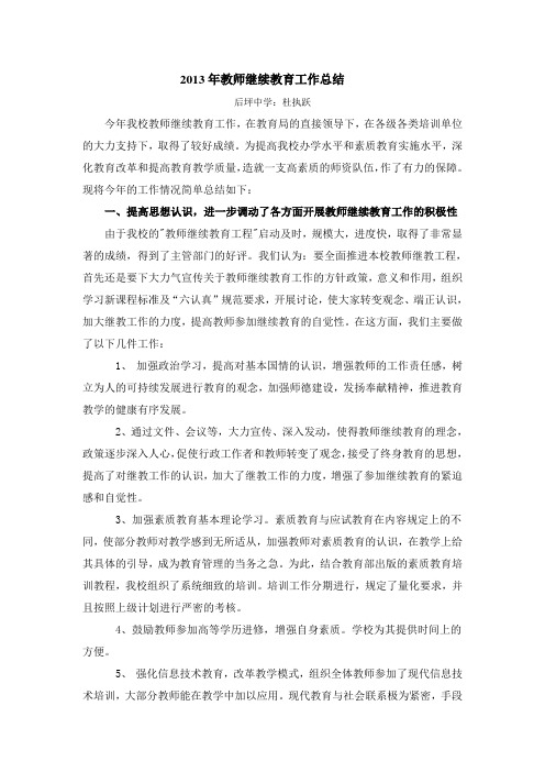 2013年小学教师继续教育培训总结