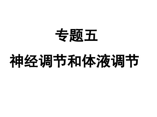 专题五  神经调节和体液调节(高三二轮复习)ppt课件