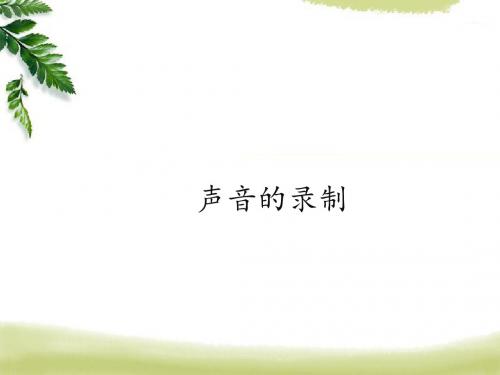 上海科技教育出版社高中信息技术选修2多媒体技术应用：声音的录制