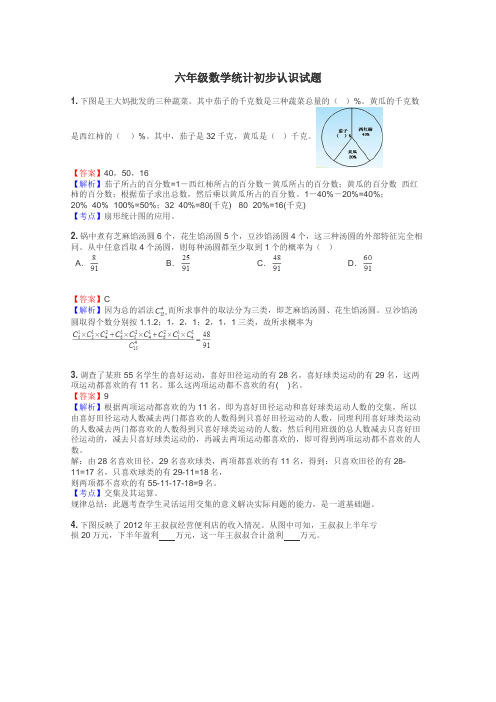 六年级数学统计初步认识试题
