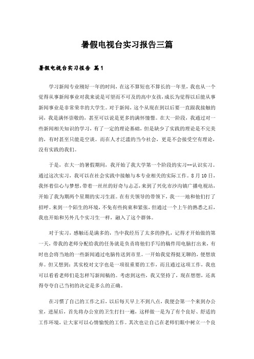 暑假电视台实习报告三篇_3