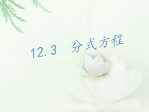 12.4分式方程