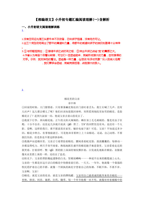 小升初【部编语文】小升初专题汇编阅读理解(一)含解析