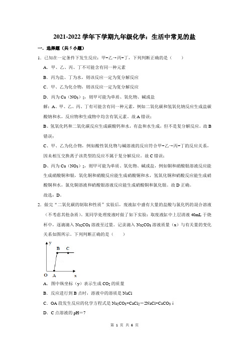 九年级化学：生活中常见的盐