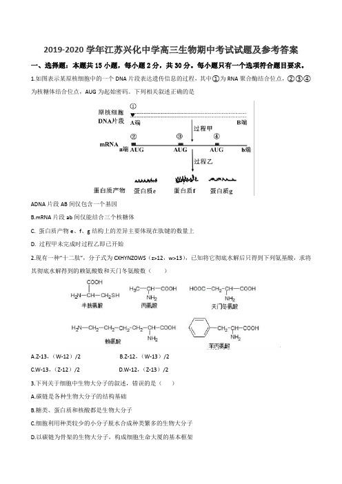 2019-2020学年江苏兴化中学高三生物期中考试试题及参考答案