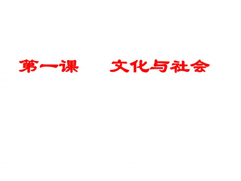 高二政治文化与社会