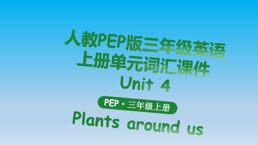 人教PEP版三年级英语上册单元词汇课件 Unit 4