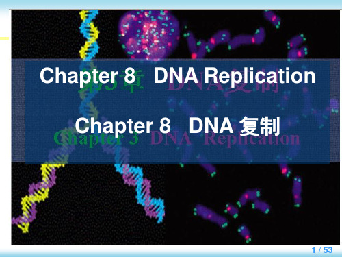 分子生物学chapter8